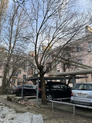 Прикрепленное изображение: photo_2024-03-03_17-45-34.jpg